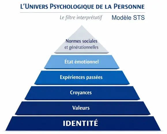 filtre interpretatif model sts
